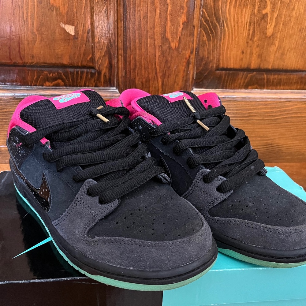 Nike Dunk SB Premier Northern lights